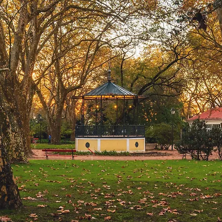 萨那银海岸酒店 4* 卡尔达斯达·赖尼亚